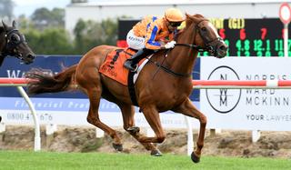 Te Akau Shark (NZ) dominates the Group One BCD Group Sprint (1400m).